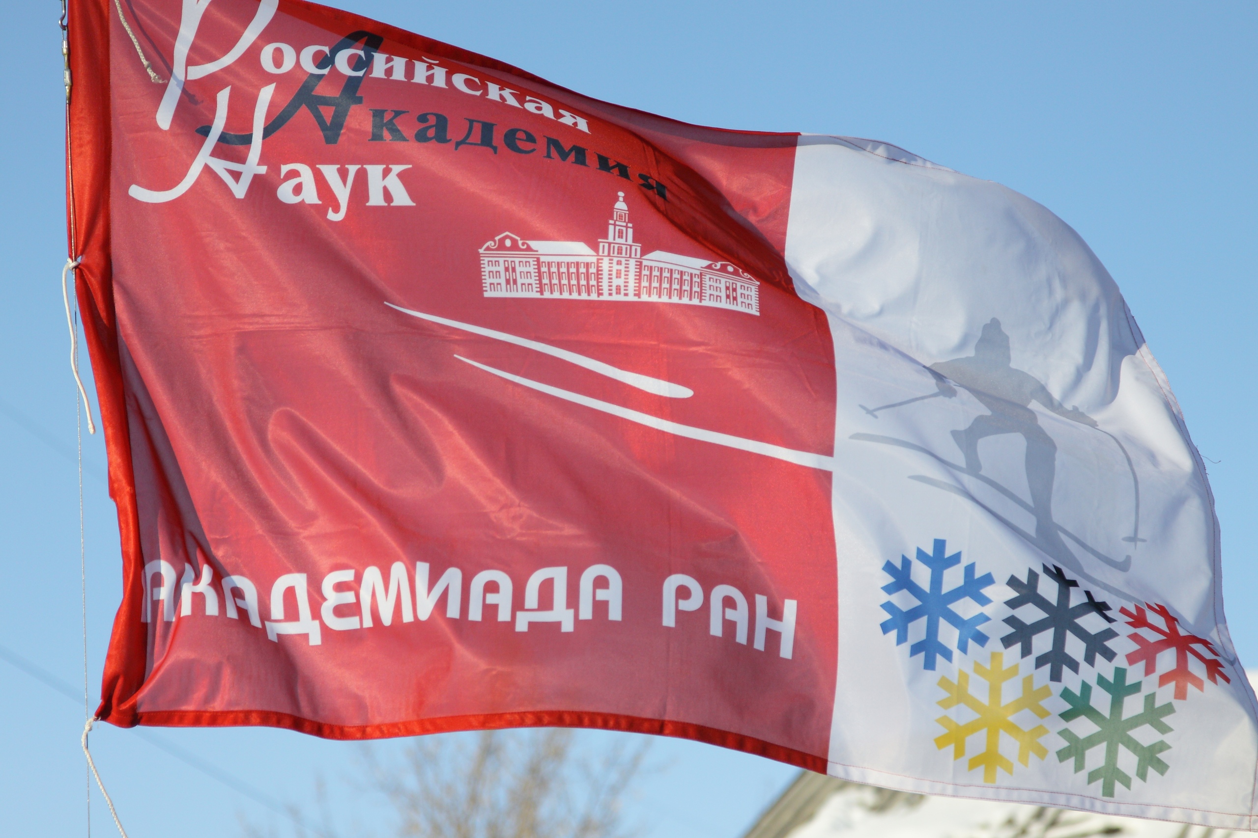 Иркутские ученые заняли призовые места на «Академиаде-2019»