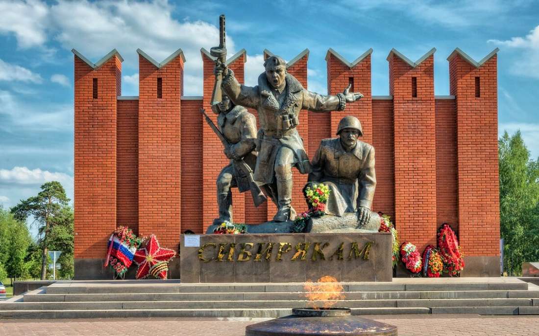 медики под москвой
