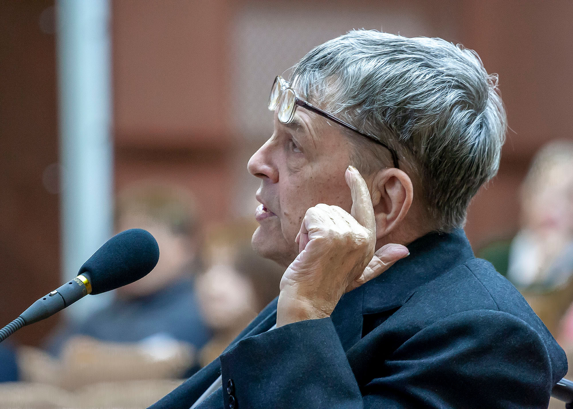 80 лет академику РАН, Михаилу Александровичу Грачеву