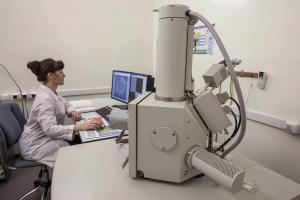 Растровый электронный микроскоп FEI Company Quanta 200 с приставкой рентгеновского микроанализа EDAX с безазотным охлаждением GENESIS XM 2 60 - Imaging SEM with APOLLO 10